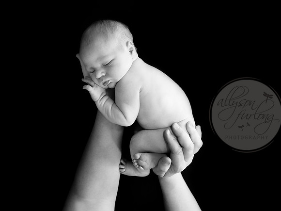 AFP_0319BW